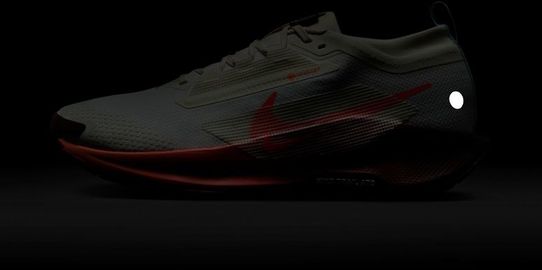 Кроссовки Nike Nike Pegasus Trail 5 GORE-TEX мужские - 11