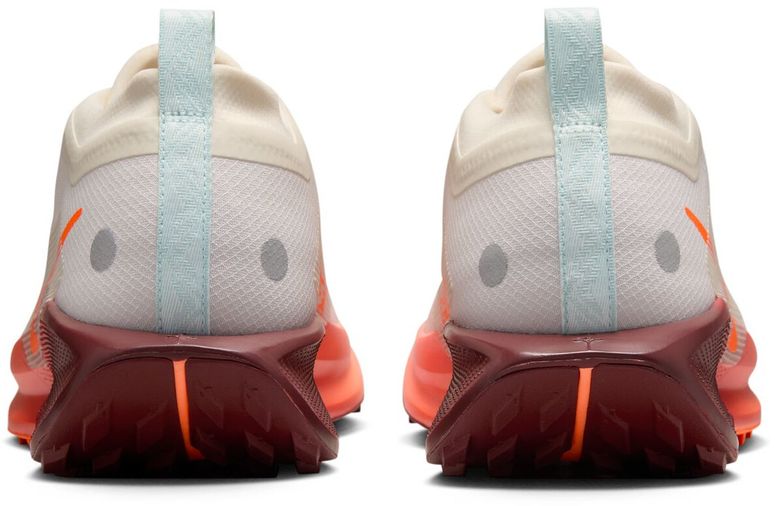 Кроссовки Nike Nike Pegasus Trail 5 GORE-TEX мужские - 6
