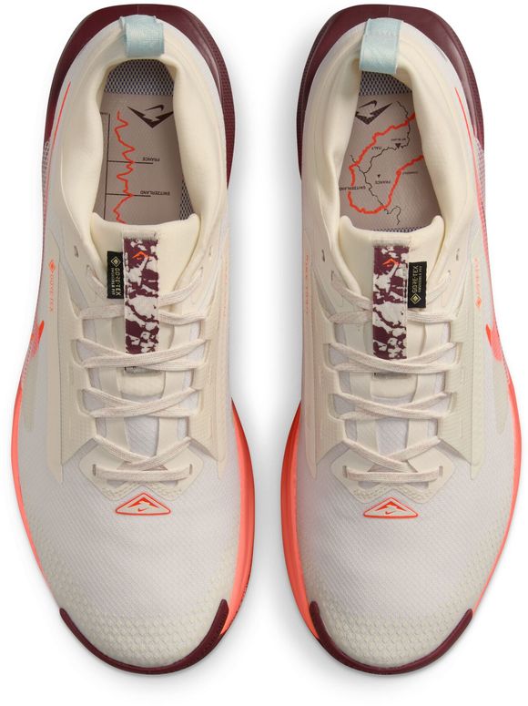 Кроссовки Nike Nike Pegasus Trail 5 GORE-TEX мужские - 7