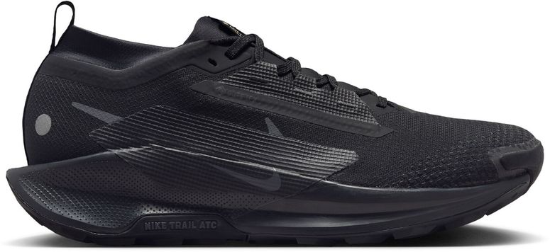 Кроссовки Nike Pegasus Trail 5 GORE-TEX мужские - 1