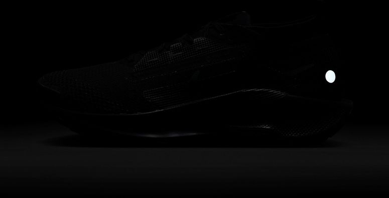 Кроссовки Nike Pegasus Trail 5 GORE-TEX мужские - 10