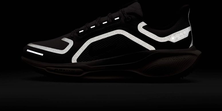 Кросівки Nike Nike Pegasus 41 GORE-TEX жіночі - 10