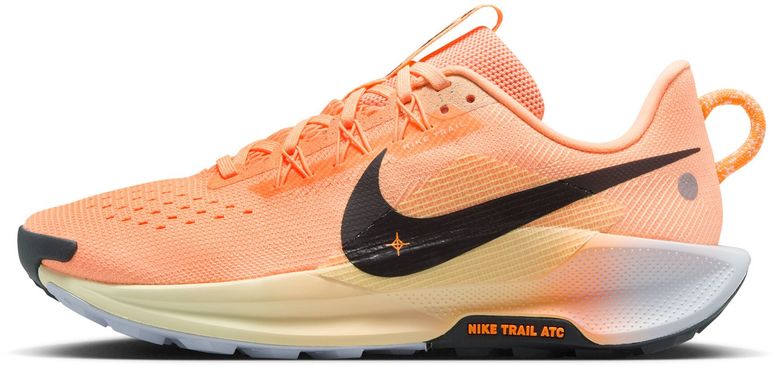 Кроссовки Nike Nike Pegasus Trail 5 женские - 3