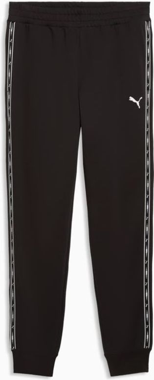 Штани Puma ESS TAPE Sweatpants TR cl чоловічі - 4