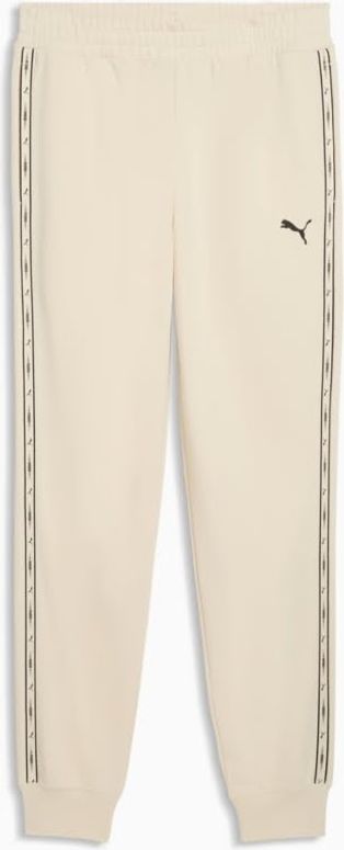 Штани Puma ESS TAPE Sweatpants TR cl чоловічі - 1