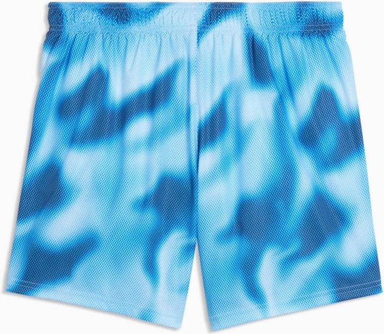 Шорты Puma PUMA SWIM MEN PRINTED RASTERIZED MID SHORTS 1P мужские - 5