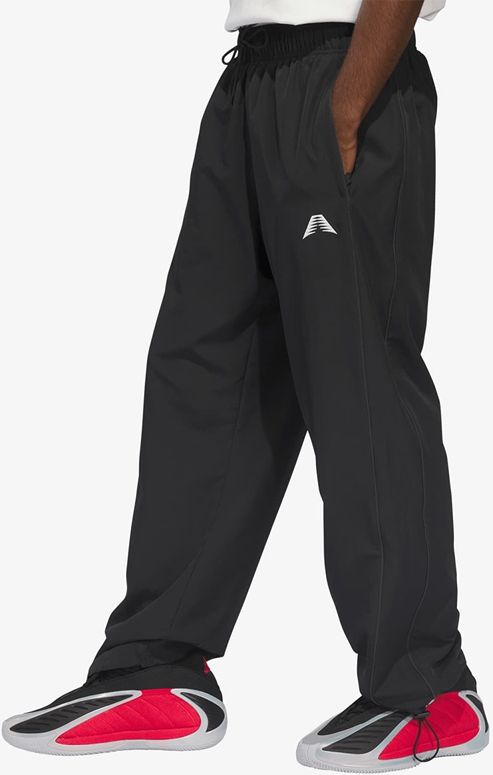 Брюки Adidas ANTED TRK PANT BLACK мужские - 2
