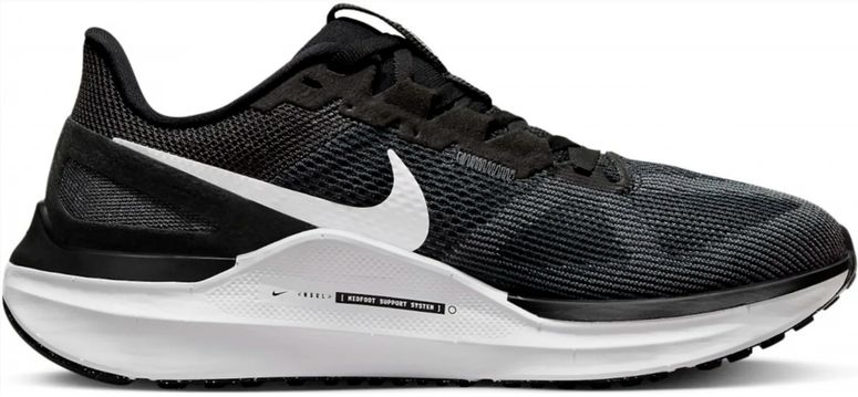 Кроссовки Nike DJ7884-001 женские - 1
