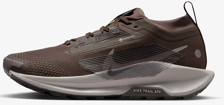 Кроссовки Nike Nike Pegasus Trail 5 GORE-TEX женские - 1