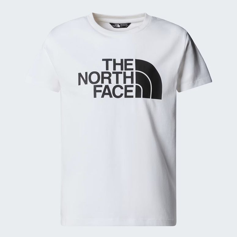 Футболка THE NORTH FACE TEEN EASY SS TEE детская - 12