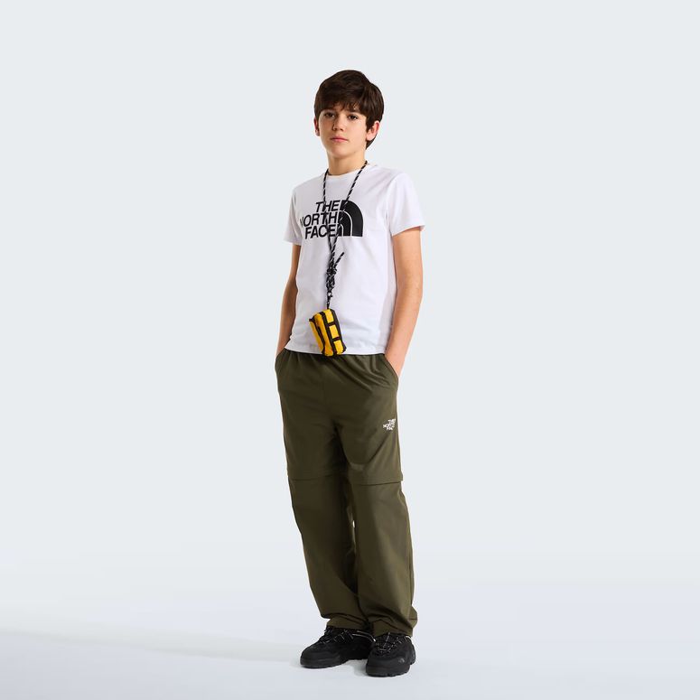 Футболка THE NORTH FACE TEEN EASY SS TEE детская - 9