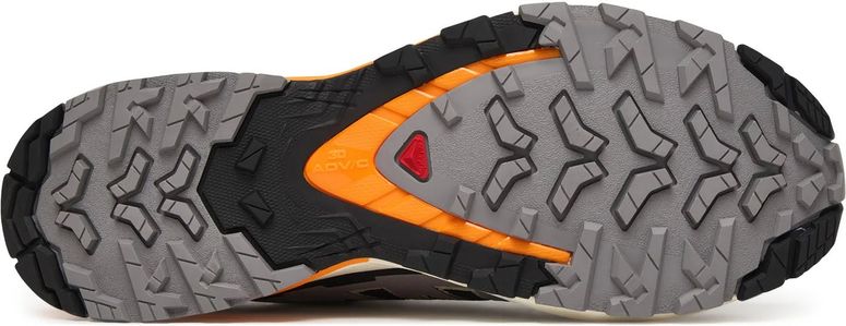 Кросівки Salomon SHOES XA PRO 3D V9 чоловічі - 4
