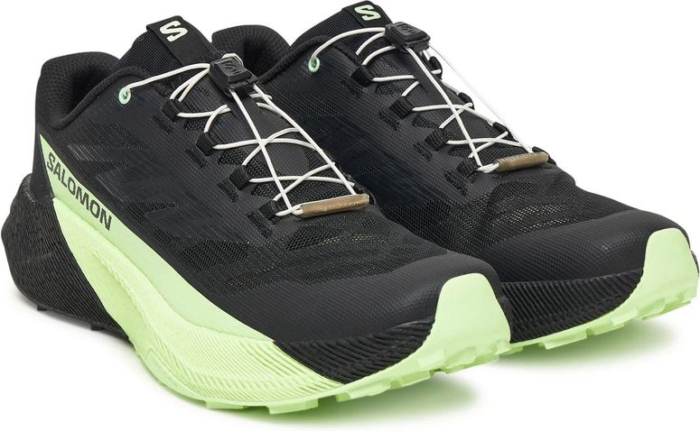 Кроссовки Salomon SHOES PULSAR мужские - 2