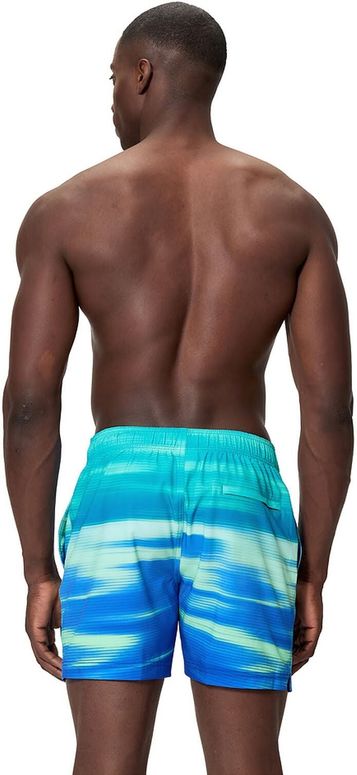 Шорти Speedo ENG PRNT REDONDO EDGE VOLY 16" чоловічі - 3