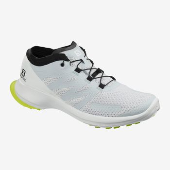 Кросівки Salomon SENSE FLOW чоловічі - 1