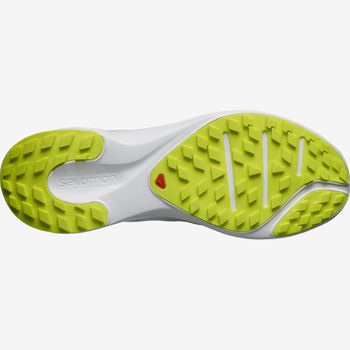 Кросівки Salomon SENSE FLOW чоловічі - 2