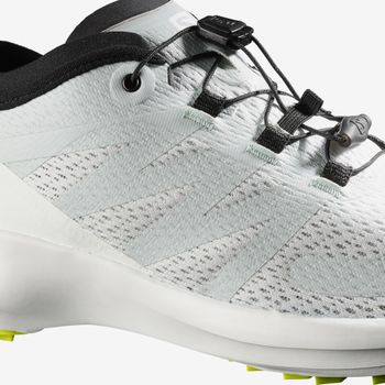 Кросівки Salomon SENSE FLOW чоловічі - 5