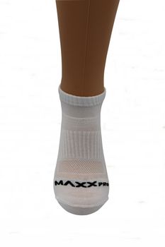 Шкарпетки MaxxPro 1631 - 4