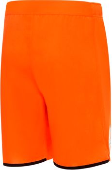Шорты Puma FCSD Shorts Promo мужские - 2