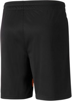 Шорты Puma FCSD Training Shorts мужские - 2