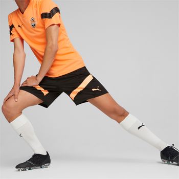 Шорты Puma FCSD Training Shorts мужские - 5