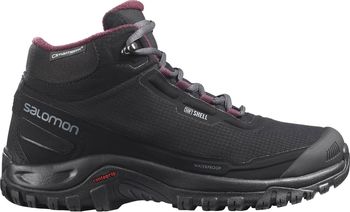 Черевики Salomon SHELTER CS WP W жіночі - 1