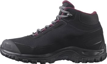 Черевики Salomon SHELTER CS WP W жіночі - 3
