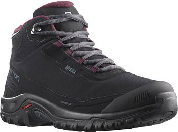 Черевики Salomon SHELTER CS WP W жіночі - 7