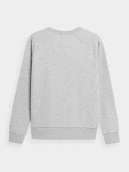 Джемпер 4F SWEATSHIRT  F370 - 3