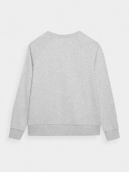 Джемпер 4F SWEATSHIRT  F370 - 4