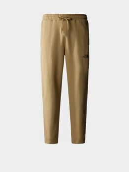 Штани THE NORTH FACE M STANDARD PANT - фото