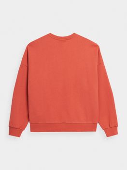 Джемпер OUTHORN SWEATSHIRT  F293 - 3