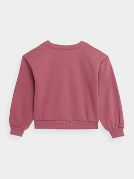 Джемпер 4F SWEATSHIRT  F0832 - 2