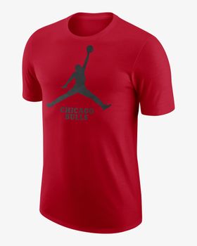 Футболка Jordan CHI ES NBA JDN SS TEE чоловіча - 1
