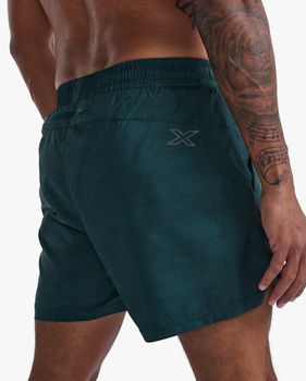 Шорты 2XU Aero 5 Inch Shorts мужские - 6