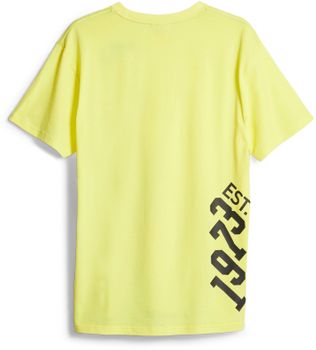 Футболка Puma FRANCHISE Q4 GRAPHIC TEE 4 - 2