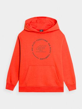 Джемпер 4F SWEATSHIRT  M1090 - 3