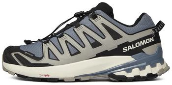 Кроссовки Salomon XA PRO 3D V9 GTX мужские - 3