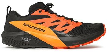 Кросівки Salomon SENSE RIDE 5 GTX - фото