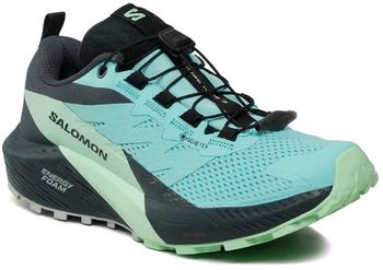 Кросівки Salomon SENSE RIDE 5 GTX W - 2