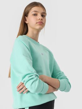 Джемпер 4F SWEATSHIRT  F0920 - 1