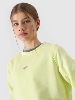 Джемпер 4F SWEATSHIRT  F0920 - 4