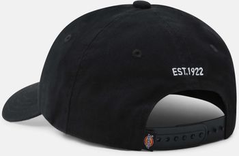 Кепка Dickies HARDWICK - 2