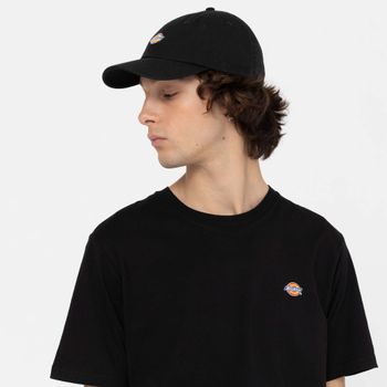 Кепка Dickies HARDWICK - 3