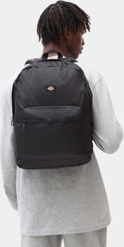 Рюкзак Dickies CHICKALOON - 3