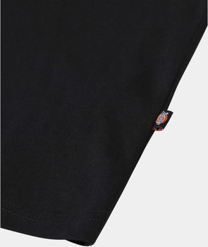 Футболка Dickies SS MAPLETON TEE чоловіча - 4