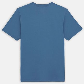 Футболка Dickies SS MAPLETON TEE чоловіча - 4