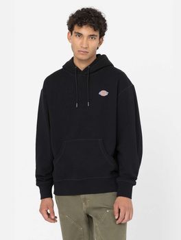 Джемпер Dickies MILLERSBURG HOODIE мужской - фото