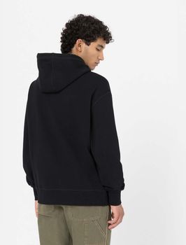 Джемпер Dickies MILLERSBURG HOODIE мужской - 2