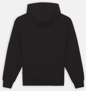 Джемпер Dickies MILLERSBURG HOODIE мужской - 4